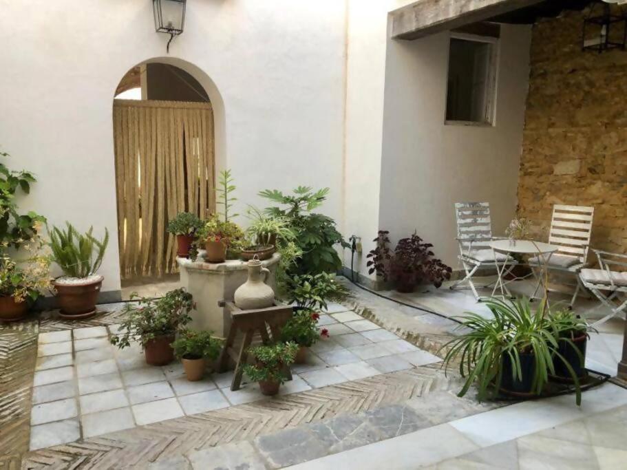 Apartamento El Sosiego Sanlúcar de Barrameda Eksteriør billede