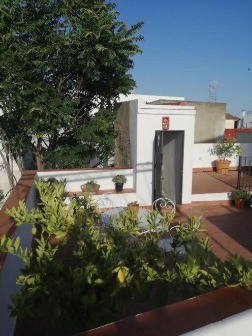 Apartamento El Sosiego Sanlúcar de Barrameda Eksteriør billede